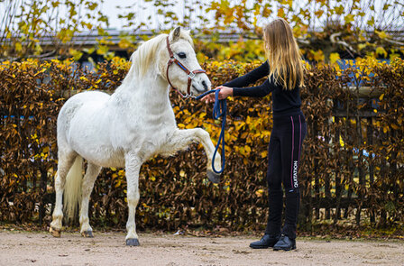 Leren halster licht blauw