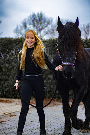 Leren halster holland