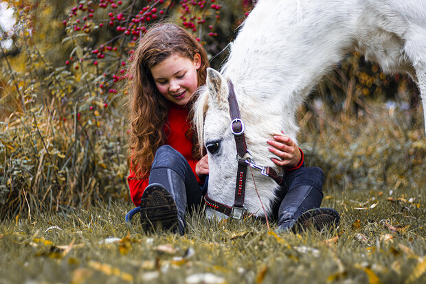 Leren halster rood